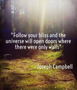 Follow your Bliss